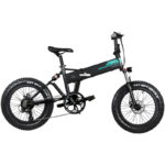 FIIDO Fat-Tire-Folding E-Bike M1-Pro-500W