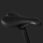 FIIDO Fat-Tire-Folding E-Bike M1-Pro-500W