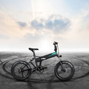 FIIDO Fat-Tire-Folding E-Bike M1-Pro-500W